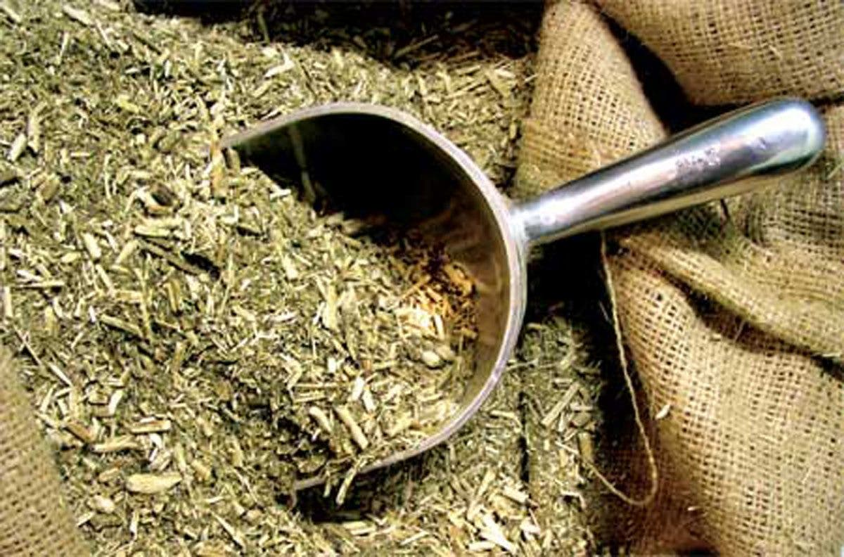 Argentine yerba mate with traditional leaf and stem cut, ready for packaging