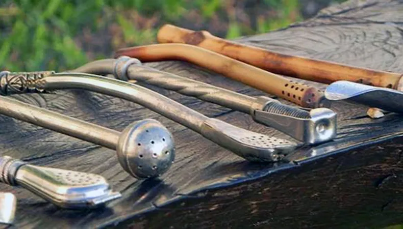 Diferentes bombillas para mate de acero, alpaca y caña apoyadas sobre una superficie de madera, en un entorno natural.