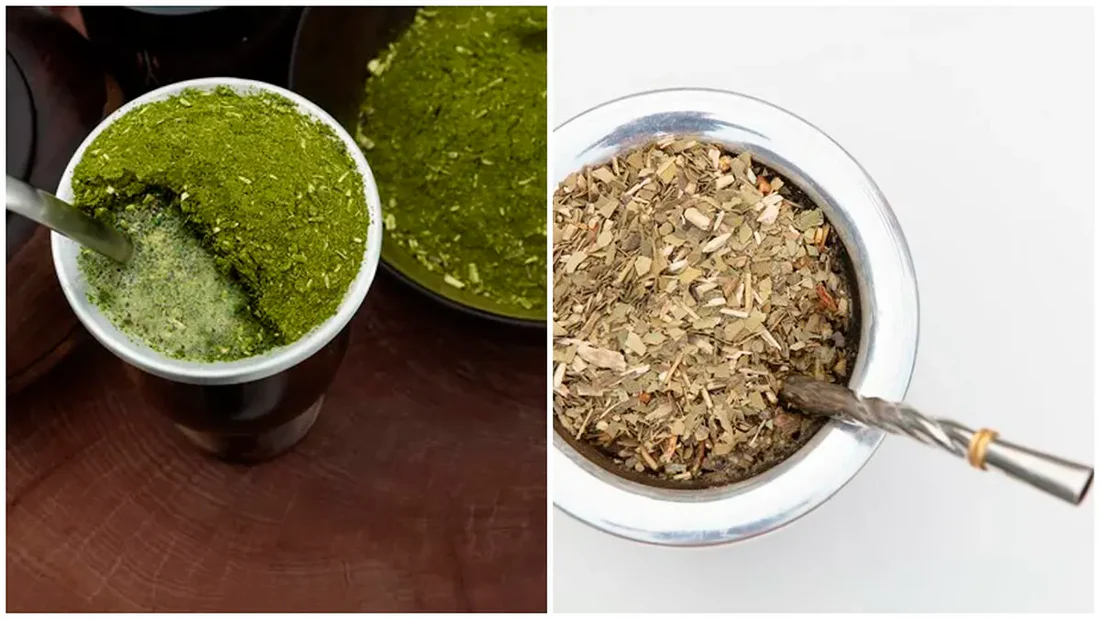 Brazilian chimarrão and Argentine yerba mate side by side, showing differences in color and grind