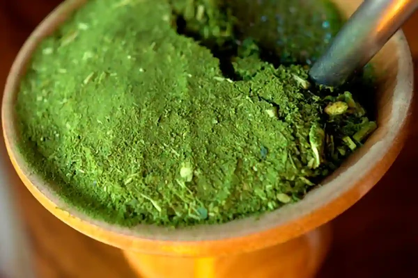 Chimarrão brasileño en cuia de madera, mostrando su molienda fina y color verde intenso